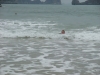 asien-2013-03-22-13-18-32