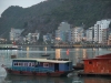 asien-2013-03-22-18-07-11