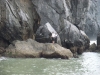 asien-2013-03-23-08-34-52