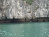 asien-2013-03-23-09-05-15