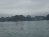 asien-2013-03-23-09-08-17