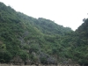 asien-2013-03-23-11-11-28