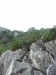 asien-2013-03-23-14-49-26