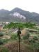 asien-2013-03-24-08-19-02