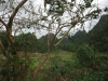asien-2013-03-24-08-52-47