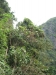asien-2013-03-24-09-03-36