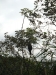 asien-2013-03-24-09-03-54