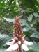 asien-2013-03-24-09-07-07