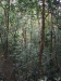 asien-2013-03-24-09-08-13