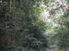 asien-2013-03-24-09-09-59