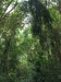 asien-2013-03-24-09-14-09