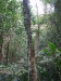 asien-2013-03-24-09-14-33