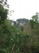 asien-2013-03-24-09-18-35