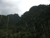 asien-2013-03-24-09-32-35