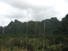 asien-2013-03-24-09-32-52
