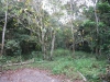 asien-2013-03-24-09-45-04