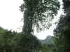 asien-2013-03-24-09-55-31