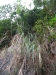 asien-2013-03-24-09-58-21