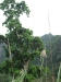 asien-2013-03-24-10-02-05