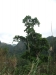 asien-2013-03-24-10-02-15