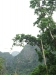 asien-2013-03-24-10-02-23