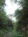 asien-2013-03-24-10-04-29