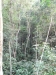 asien-2013-03-24-10-05-57