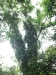asien-2013-03-24-10-09-27