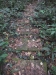 asien-2013-03-24-10-15-07