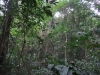 asien-2013-03-24-10-15-31