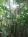 asien-2013-03-24-10-15-43