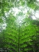asien-2013-03-24-10-17-54