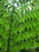 asien-2013-03-24-10-18-06