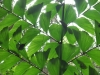 asien-2013-03-24-10-18-18