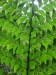 asien-2013-03-24-10-18-24
