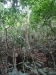 asien-2013-03-24-10-19-44