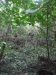 asien-2013-03-24-10-20-34