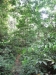 asien-2013-03-24-10-24-16