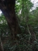 asien-2013-03-24-10-28-06