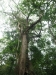 asien-2013-03-24-10-41-38