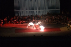 2013 Cat Ba (Zirkus) - Vietnam