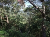asien-2013-03-10-09-56-03