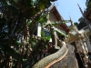 asien-2013-03-10-11-05-19
