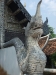 asien-2013-03-08-11-15-53