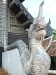 asien-2013-03-08-11-15-58