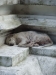 asien-2013-03-09-15-59-38