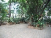 asien-2013-03-09-16-07-39