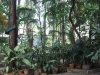 asien-2013-03-09-16-07-47