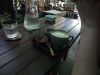 asien-2013-03-10-07-55-24
