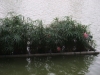 asien-2013-03-26-17-14-46